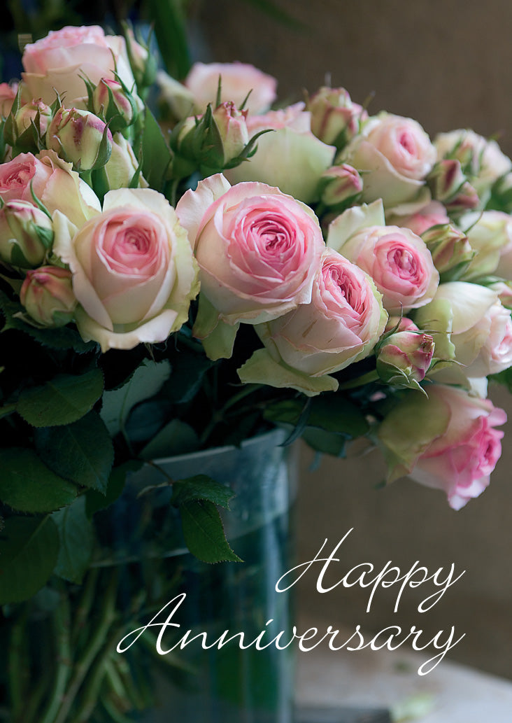 Anniversary roses discount