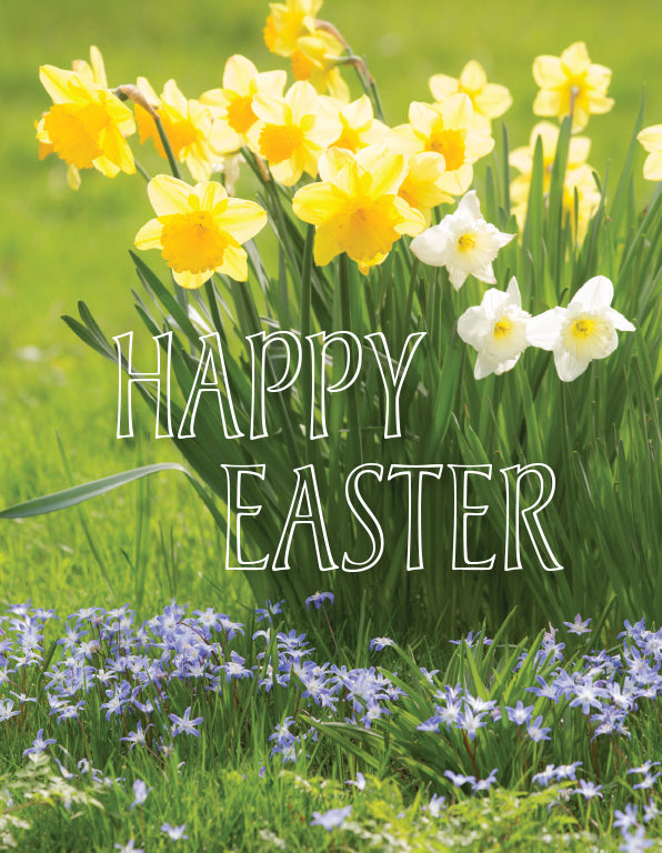 Easter Card - Daffodils And Scilla (pack of 4) – Leonard Smith