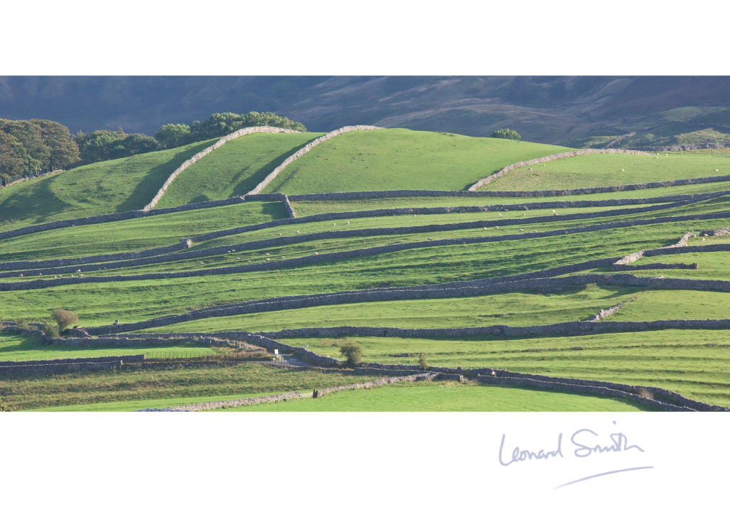 Blank Card - Yorkshire Dry Stone Walls