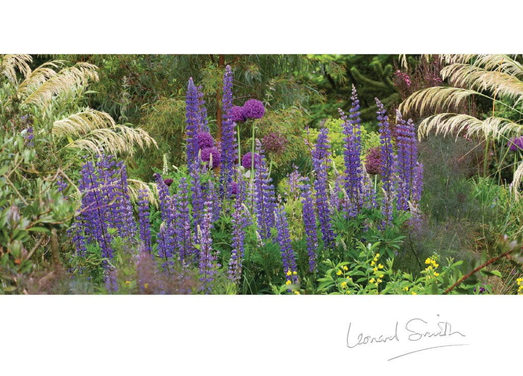 Blank Card - Herbaceous Border