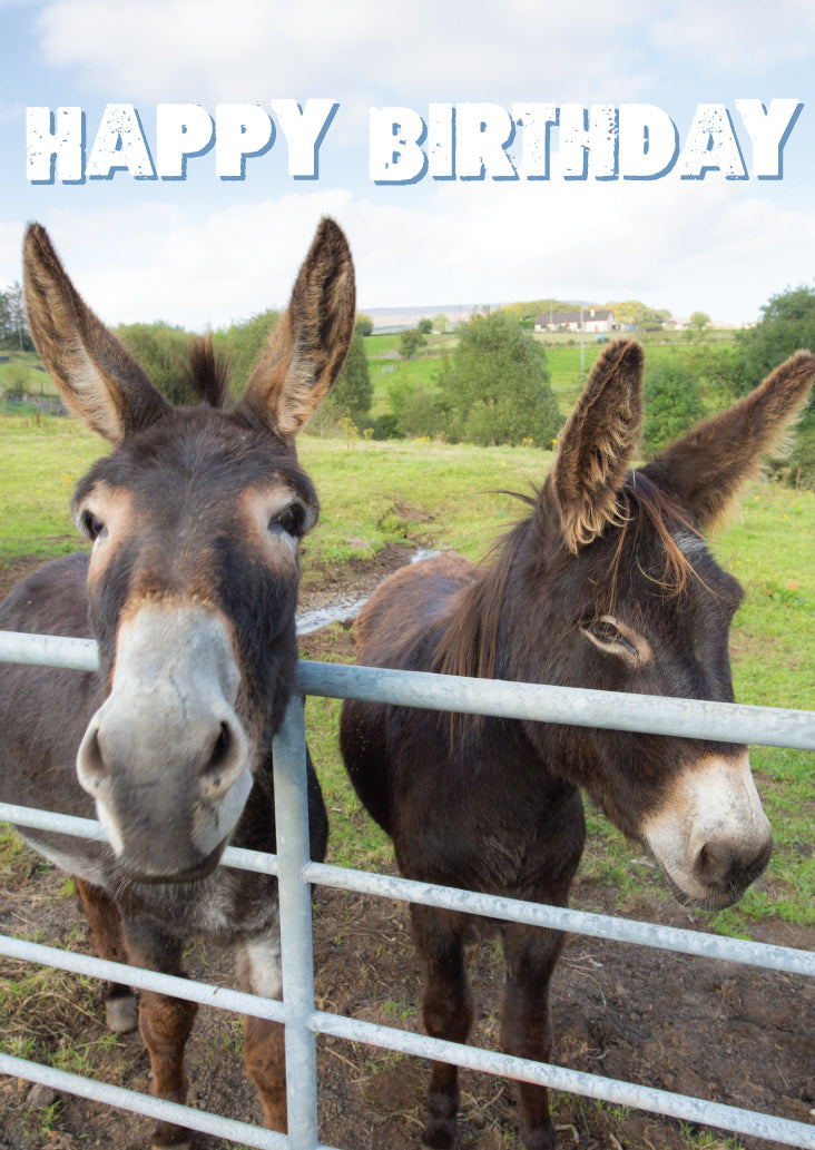 Birthday Card - Donkeys