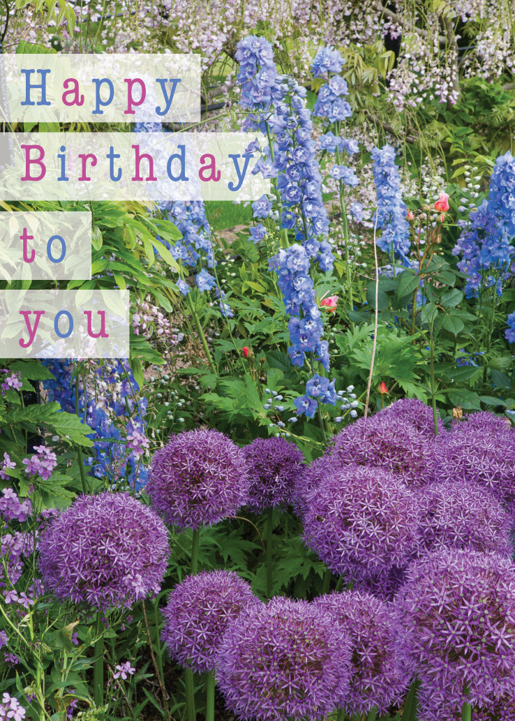Birthday Card - Allium And Delphinium