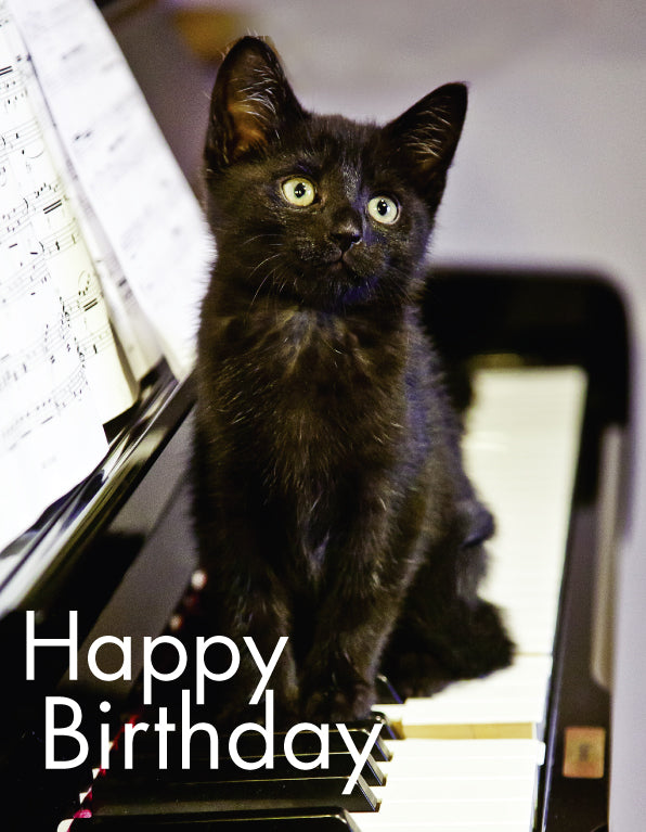 Birthday Card - Black Kitten On Piano