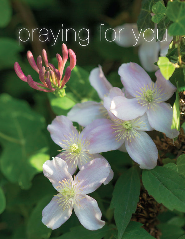 Praying for You Card - Clematis/Honeysuckle