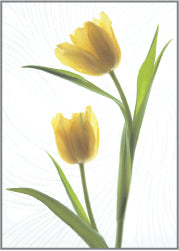 Blank Card - Yellow Tulips