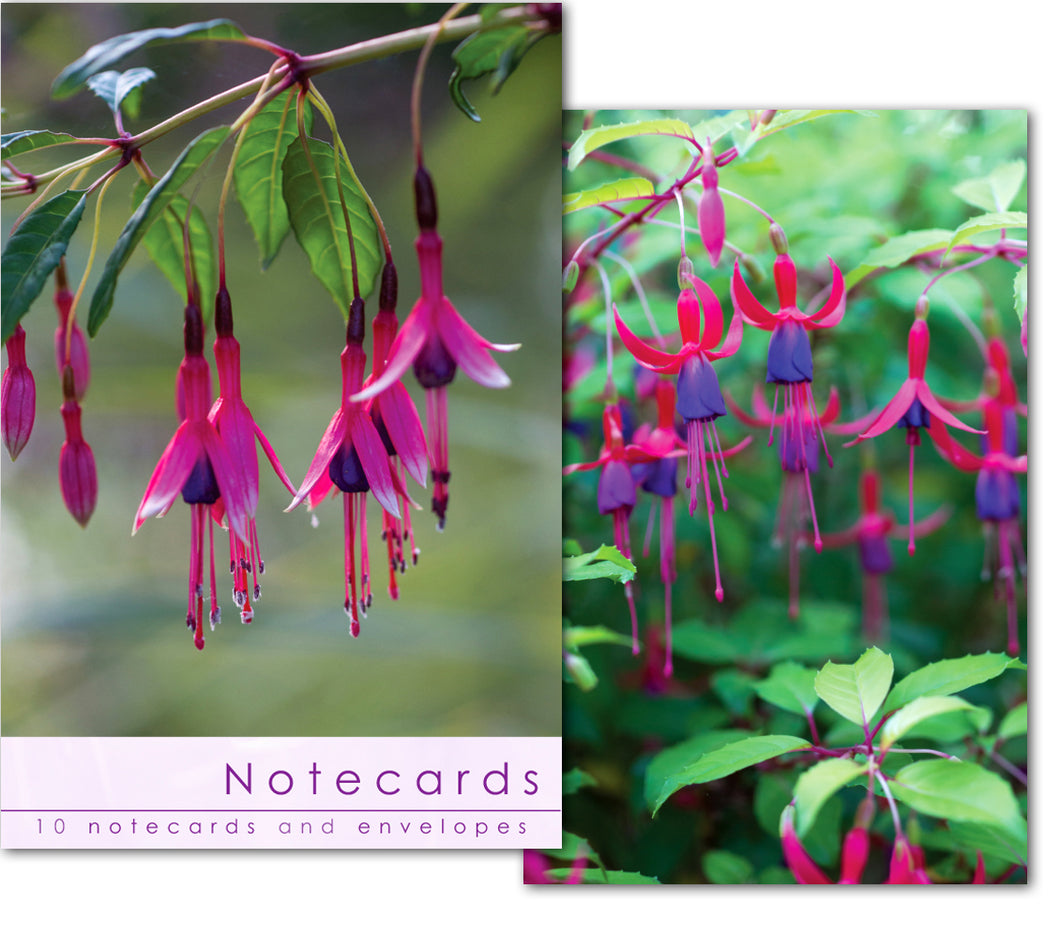 Notecard Wallet - Fuschia Close Ups (10 cards)