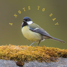 Load image into Gallery viewer, Photonotes Notecards - Great Tit on Moss (pack of 5)
