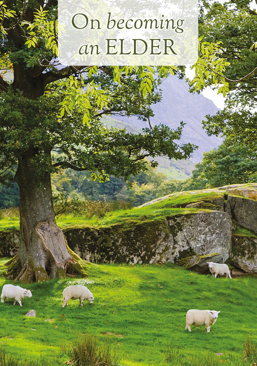 Elder Card - Sheep Under Tree