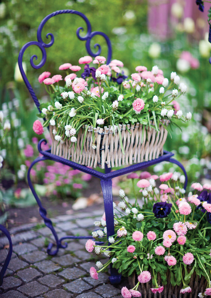 Blank Card - Blue Chair With Flowers