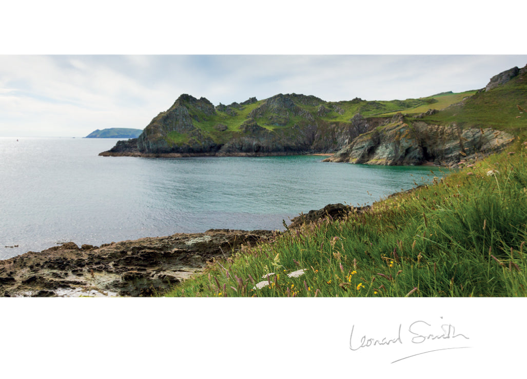 Blank Card - Devon Cove