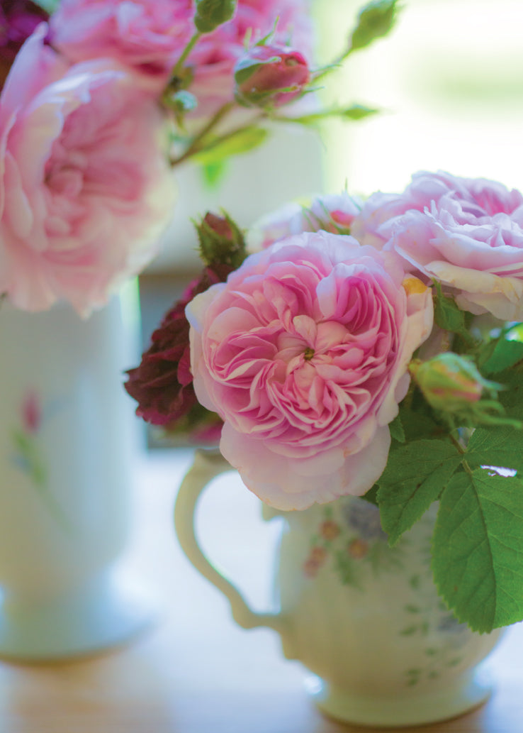 Blank Card - Roses In Jugs