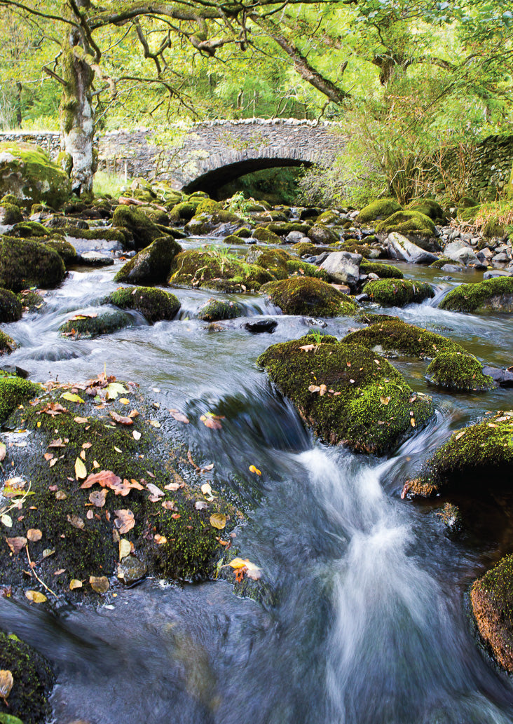 Blank Card - Rushing Stream – Leonard Smith