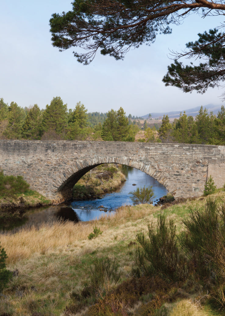 Blank Card - Stone Bridge Scene