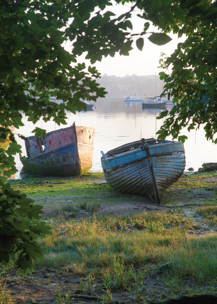 Blank Card - Boats On The Shoreline