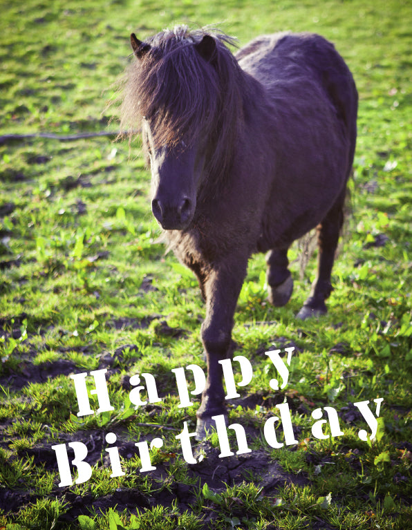 Birthday Card - Small Pony
