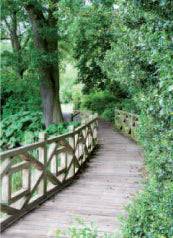 4164 Blank: Wooden Bridge RHS Wisley