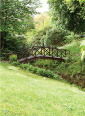 4177 Blank: Wooden Bridge In Garden