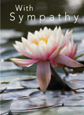 4193 Sympathy: Back Lit Water Lily