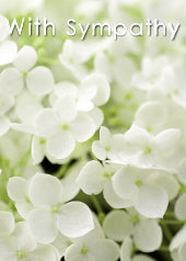 4194 Sympathy: White Hydrangea