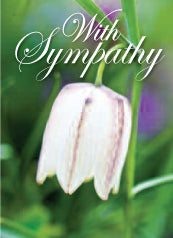 4195 Sympathy: White Fritillary Flower