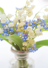 4222 Blank: Lilly Of The Valley