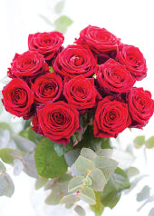 4223 Blank: Red Roses