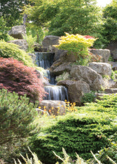 4232 Blank: Garden Waterfall