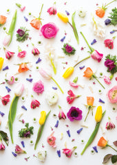 4246 Blank: Flower Heads