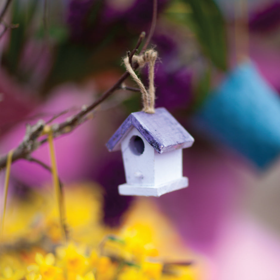 Blank Card - Tiny Bird House