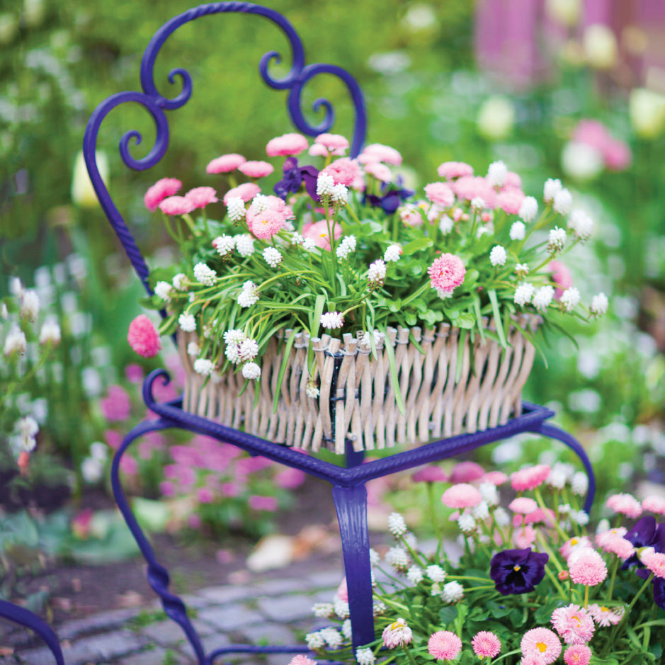Blank Card - Blue Garden Seat