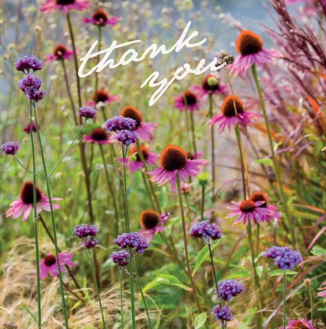 Photonotes Thank You Notecards - Echinacea/Verbena (pack of 5 ...