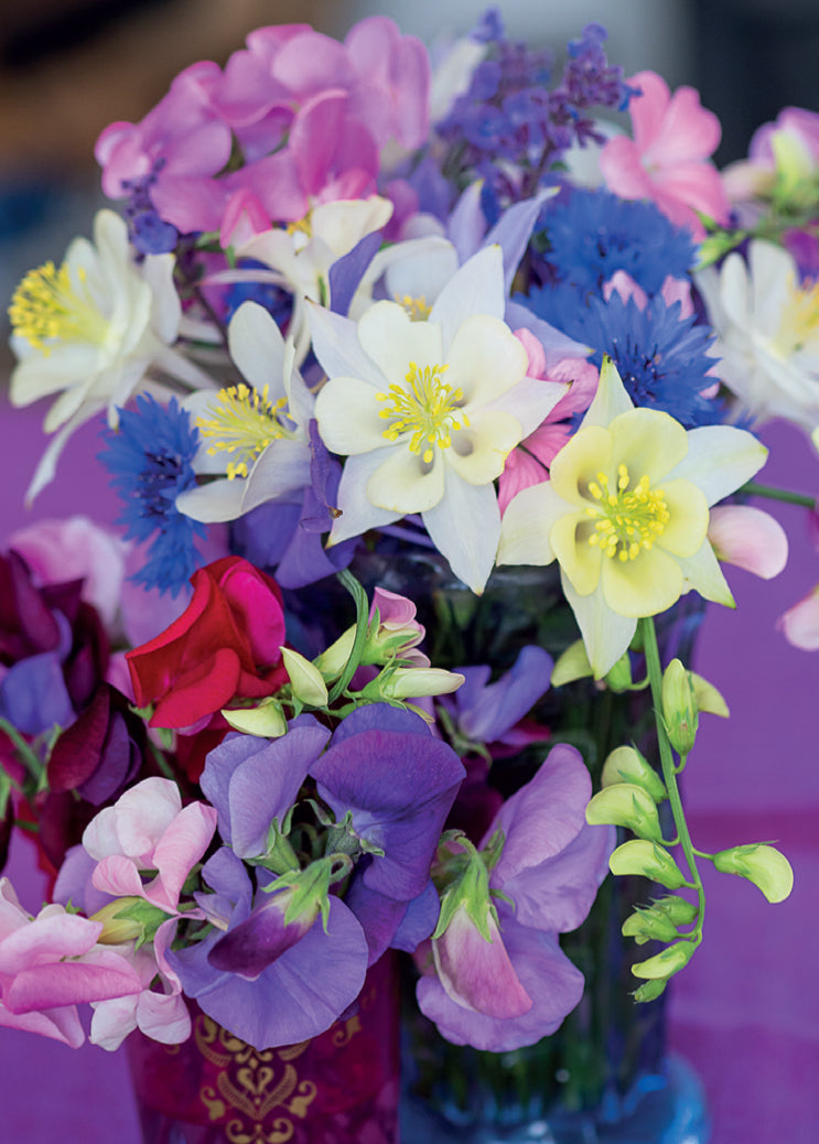 Blank Card - Sweet Pea Arrangement