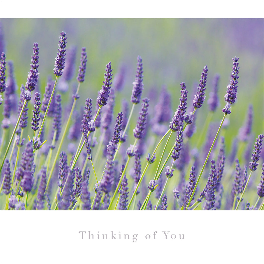 Thinking of You Card - Lavender