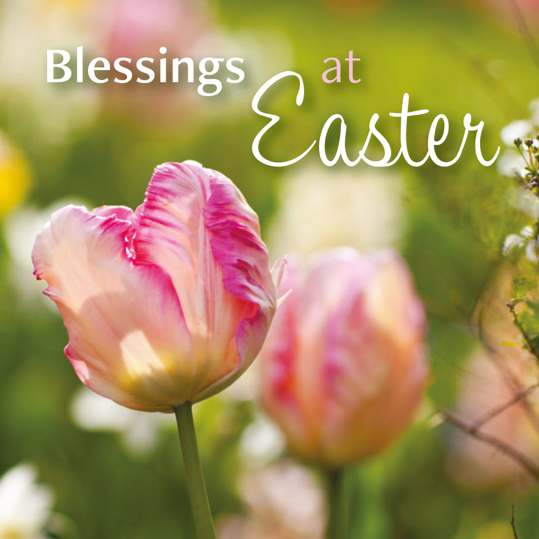 Easter Card - Tulip/Blessings At Easter (pack of 5)