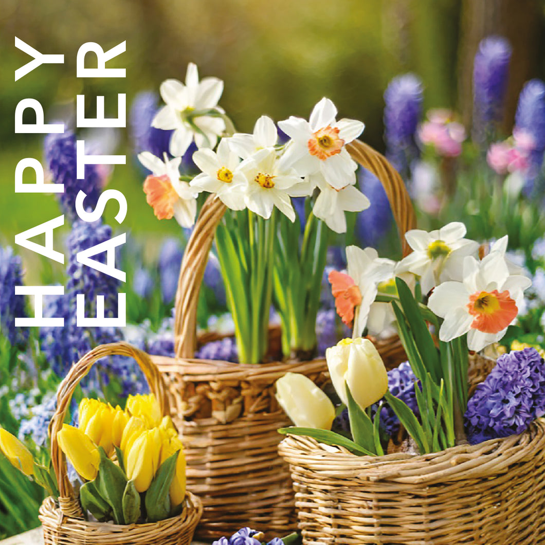Easter Card - Daffodil Baskets (pack of 5)