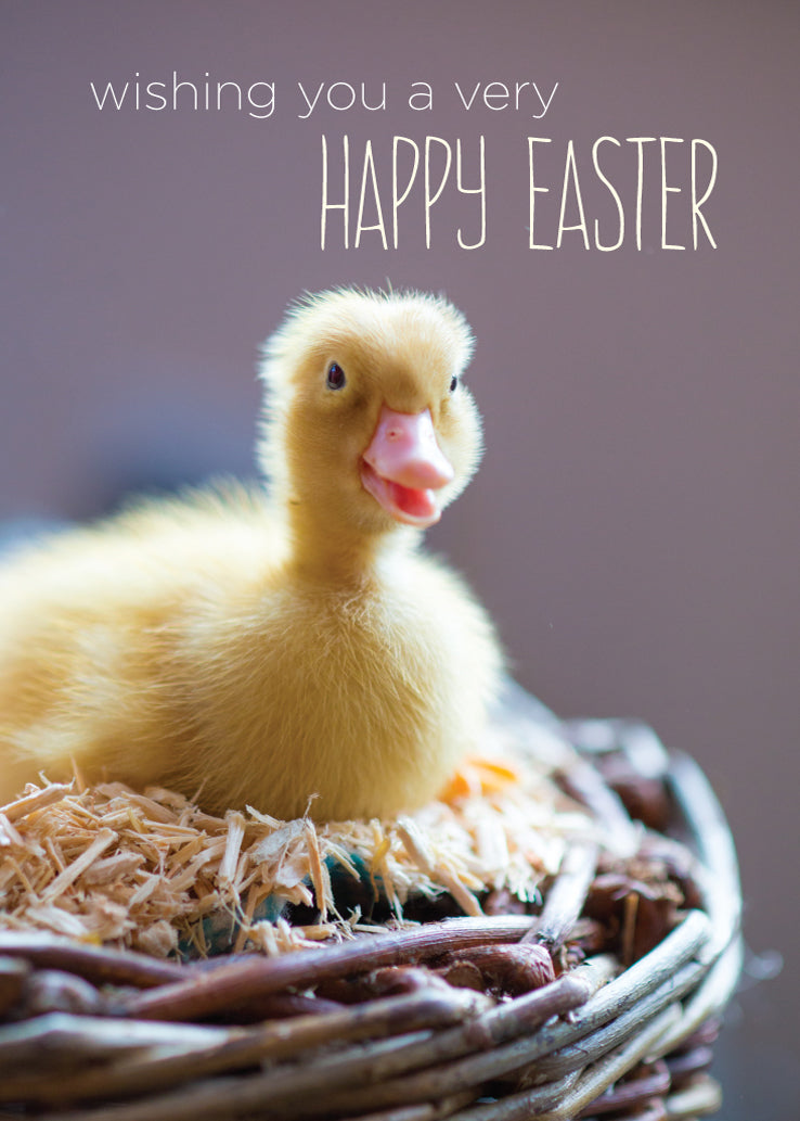 Easter Card - Duckling On Straw