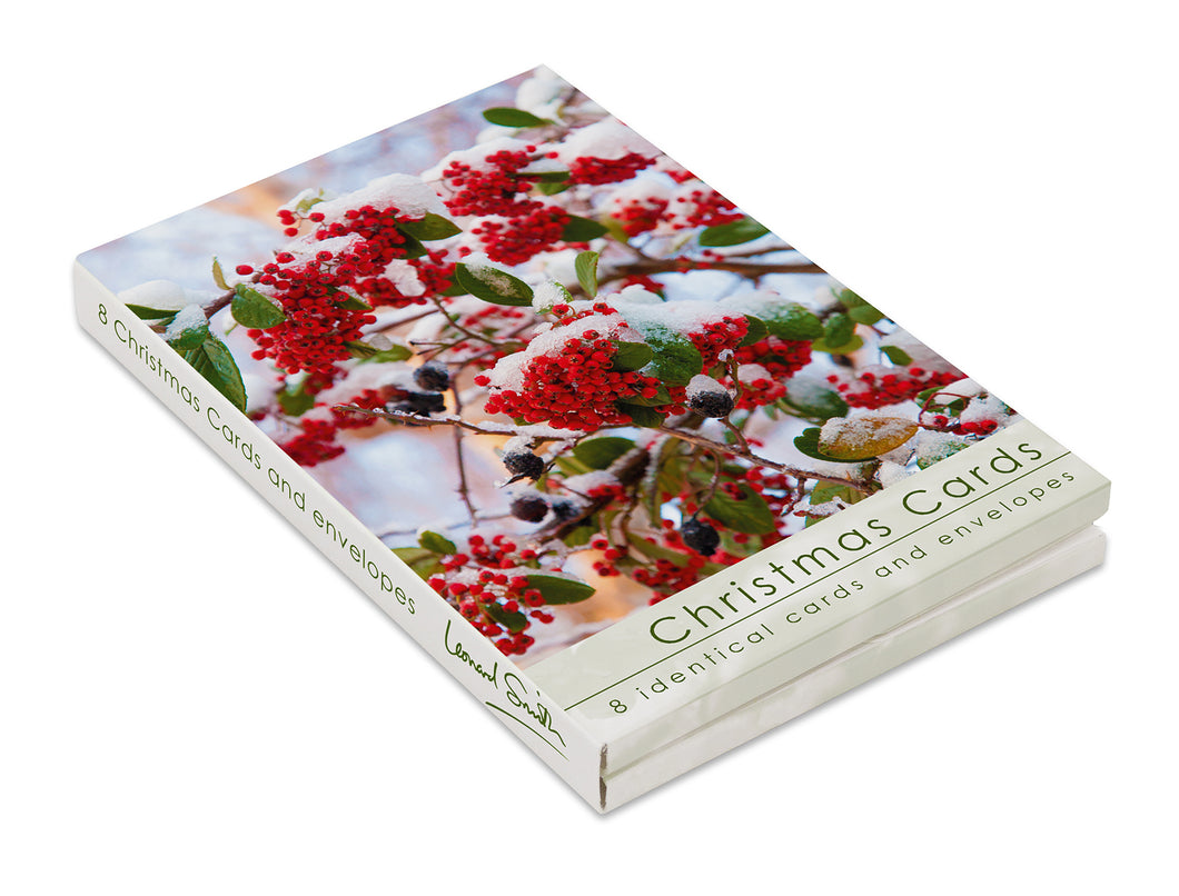 Christmas Card Wallet - Berries (8 cards)