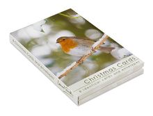 Load image into Gallery viewer, Christmas Card Wallet - Robin (8 cards)
