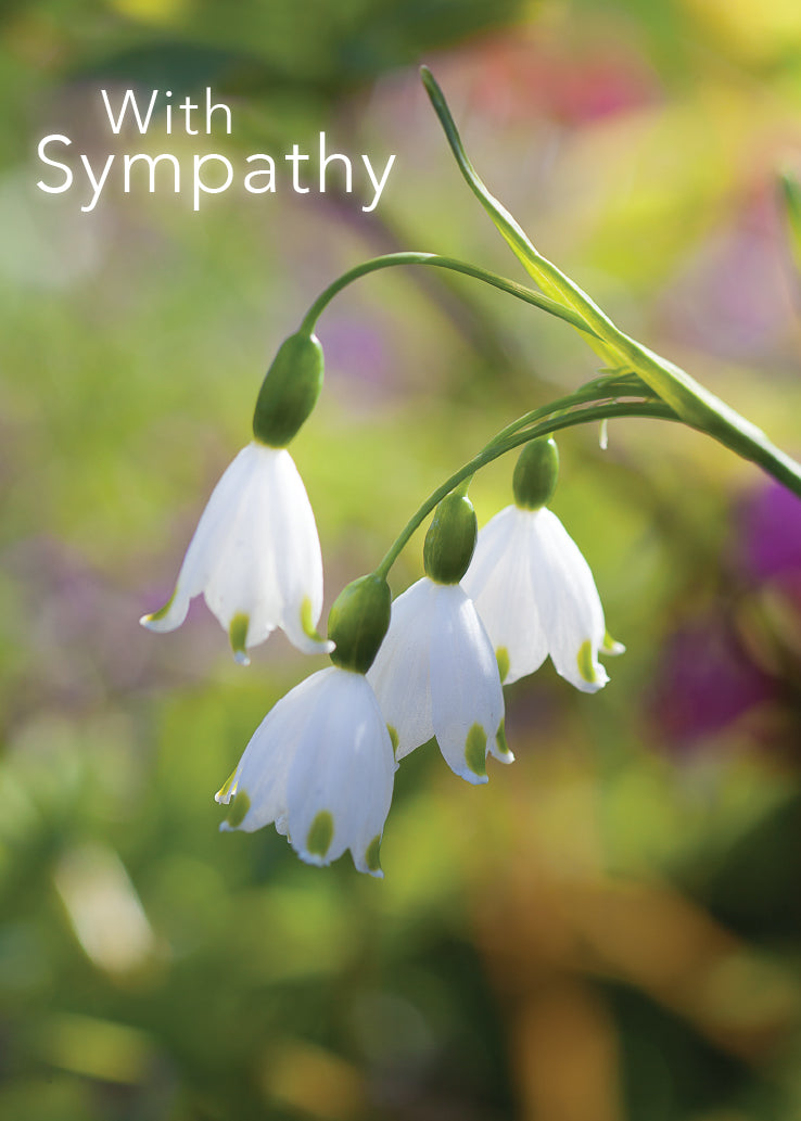 Sympathy Card - White Snowflake Flowers