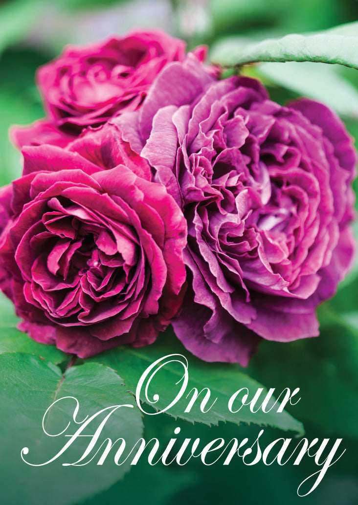 Our Anniv Card - Old English Roses