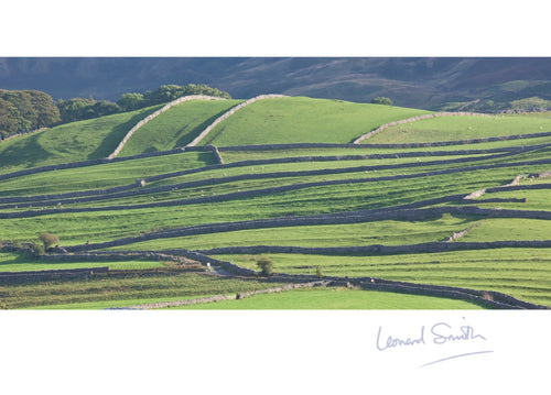 Blank Card - Yorkshire Dry Stone Walls - Leonard Smith