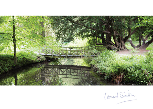 Blank Card - Bridge Over Stream - Leonard Smith