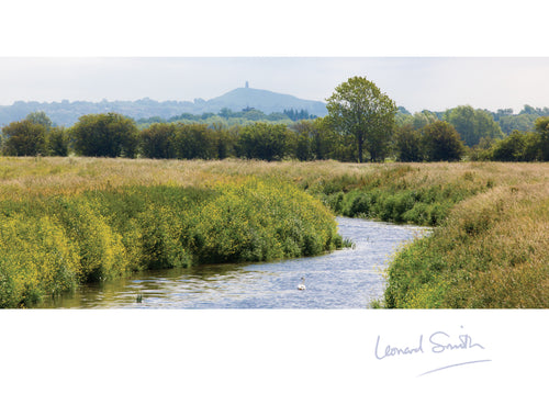 Blank Card - Somerset Levels - Leonard Smith