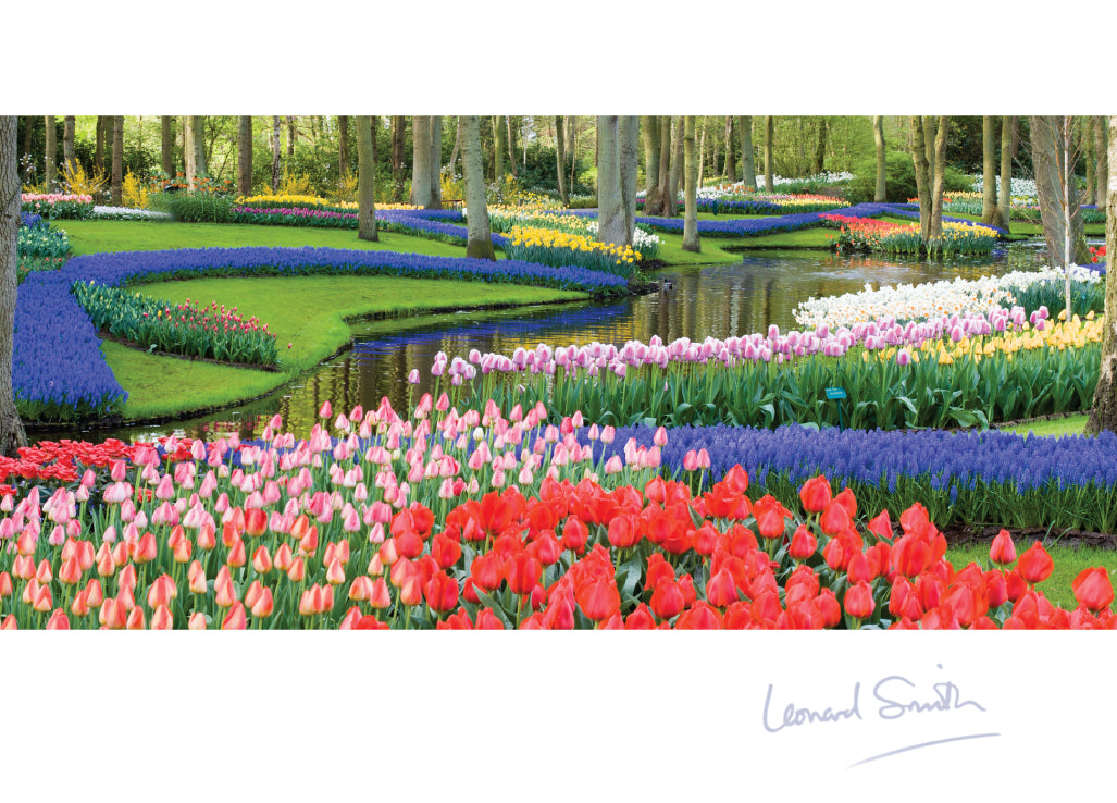 Blank Card - Keukenhof Gardens - Leonard Smith