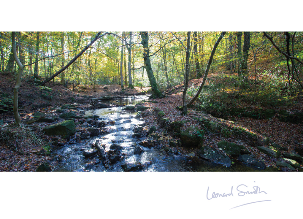 Blank Card - Woodland Stream - Leonard Smith