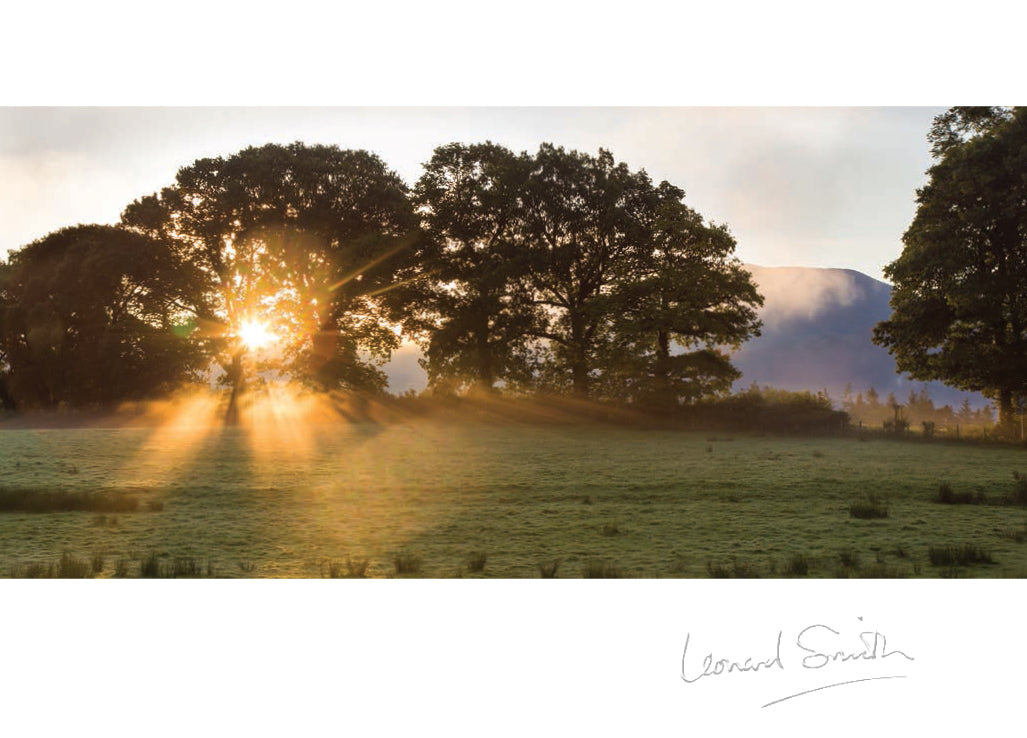 Blank Card - Sunrise Through Trees - Leonard Smith