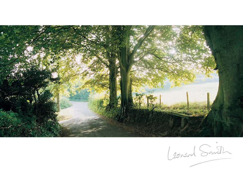 Blank Card - Dorset Lane