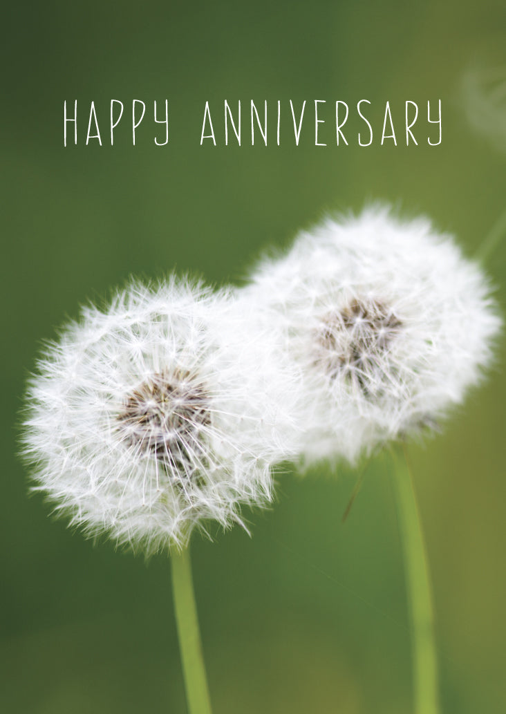 Anniversary Card - Two Dandelions - Leonard Smith