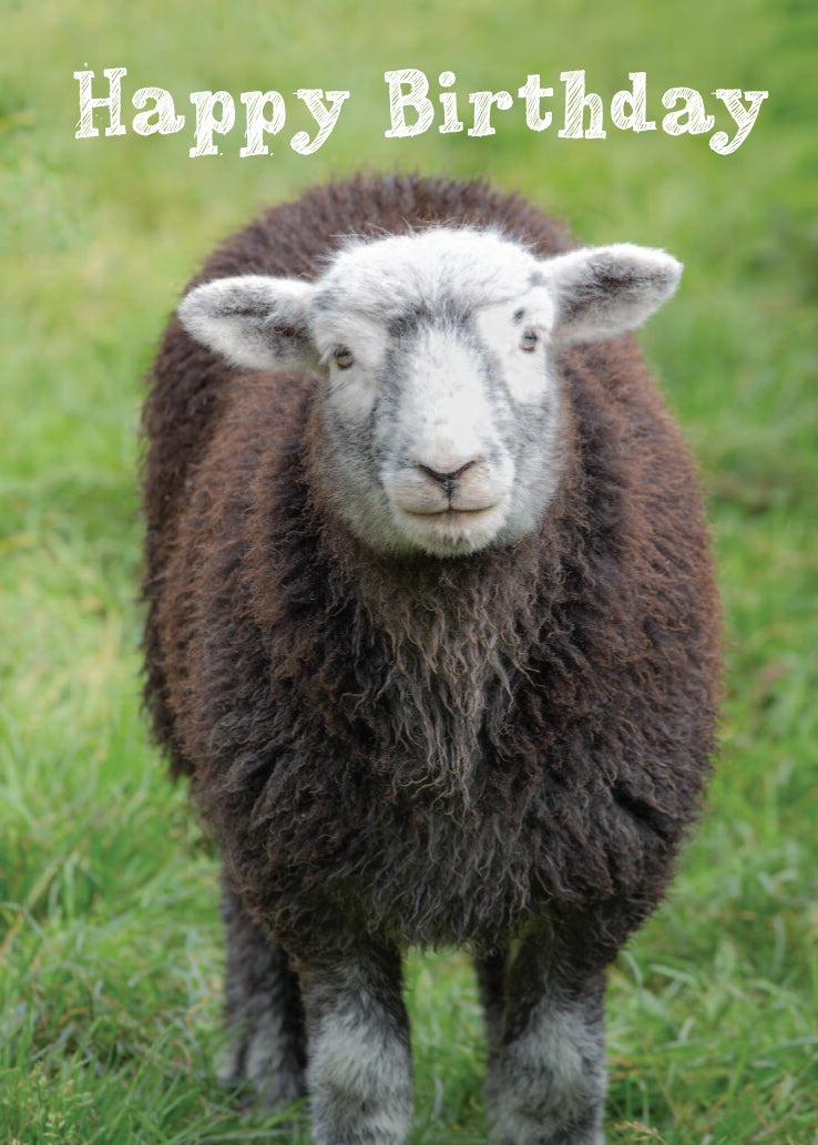 Birthday Card - Herdwick Sheep - Leonard Smith