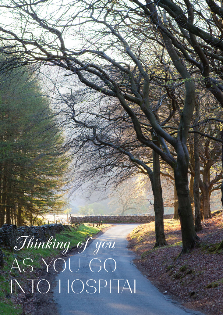 Get Well Card - Tree Lined Road